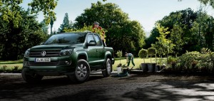 Gamme Amarok : photo 9